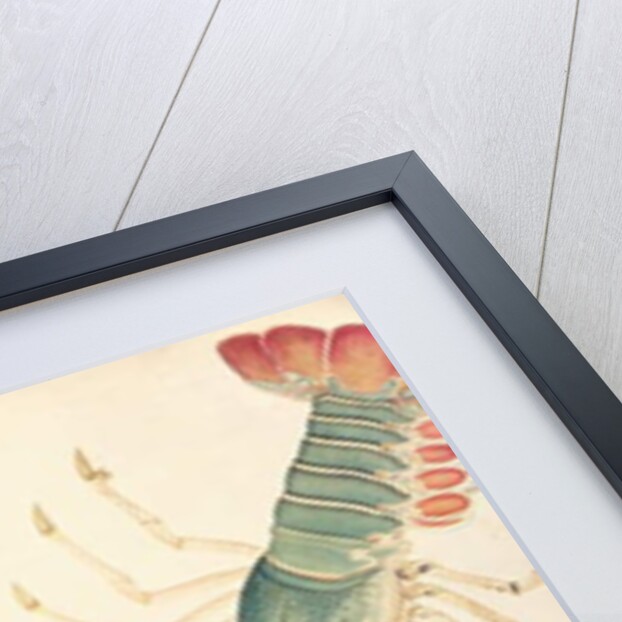 Oodang Katik la-ote by School Chinese