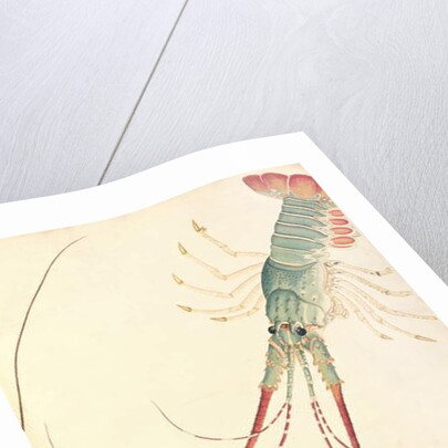 Oodang Katik la-ote by School Chinese