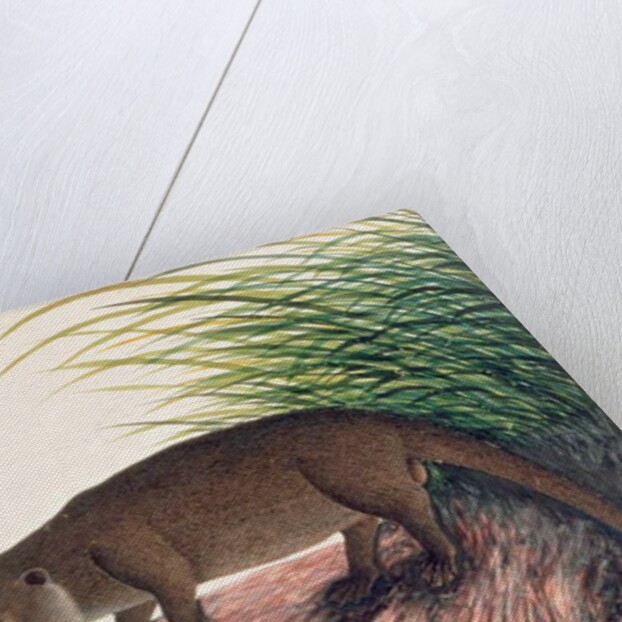 Otter, Brang-Brang by School Chinese