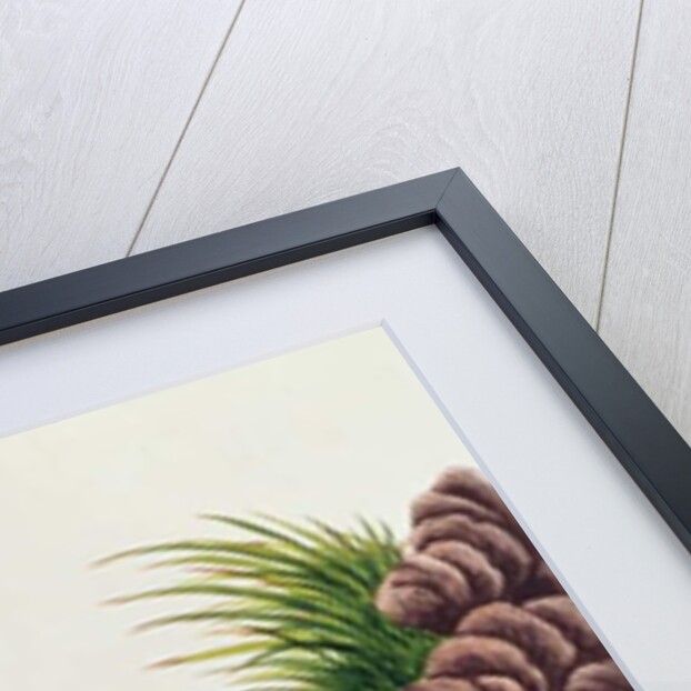 Young Tapir of Malacca by School Chinese