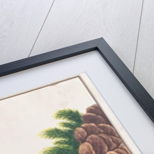 Moonrat by School Chinese