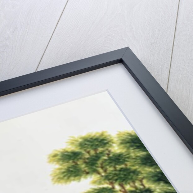 Hyena by School Chinese