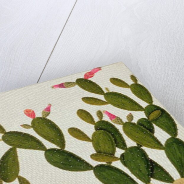 Liedah Badah, Cardasse Cochenille by School Chinese