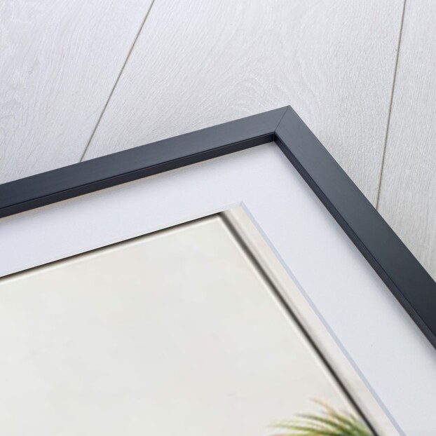 Pelican, Boorong Java by School Chinese