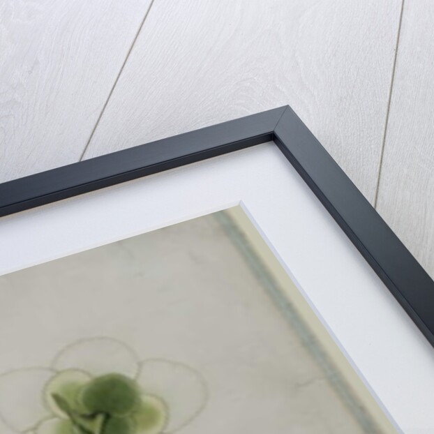 Dillenia indica, 1787 by al-Din Zayn