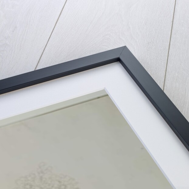 Lagerstroemia indica L., 1787 by al-Din Zayn