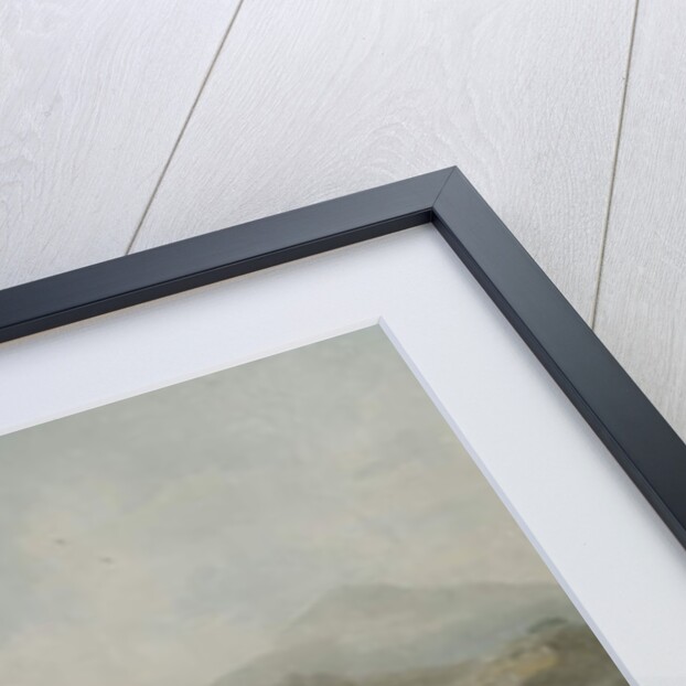 The approach of the Emperor of China to his tent in Tartary to receive the British Ambassador, 1799 by William Alexander