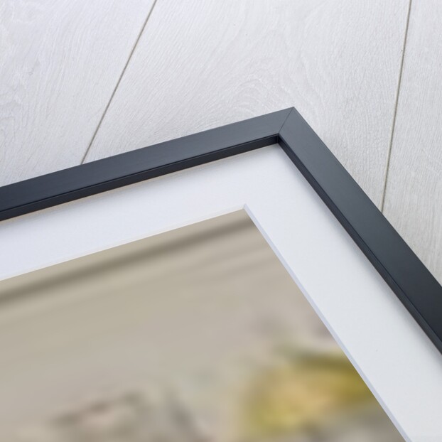 Panorama of the fort at Delhi, 1810 by Persian School