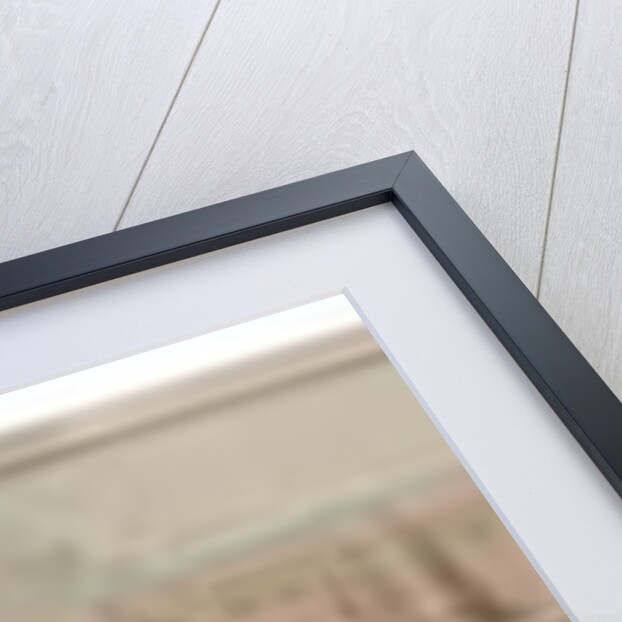 Panorama of the fort of Agra, 1815 by Persian School