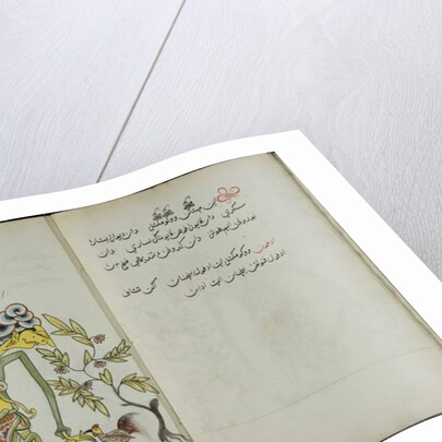 Wukon Jawa, MS 41 p.42, image 21, 1830 by Malay Malay