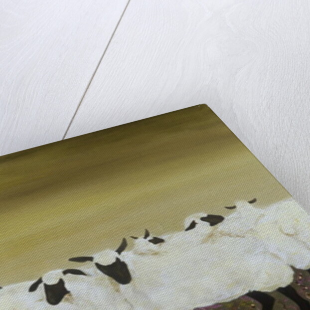 Exchange Students by Alix Soubiran-Hall