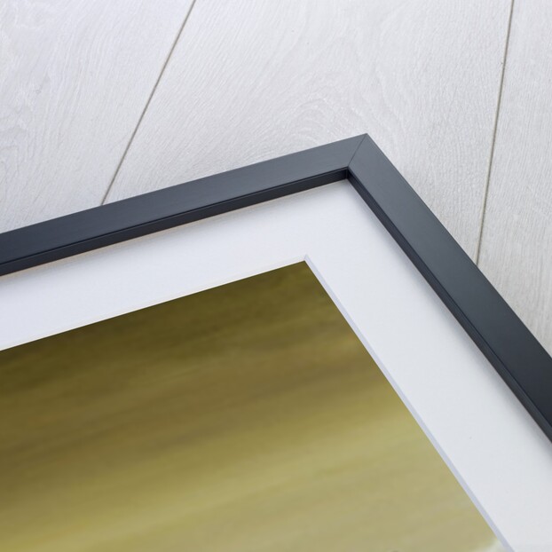 Exchange Students by Alix Soubiran-Hall