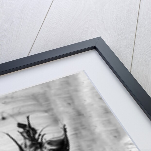 Amid the Flowers 14, 2021 by Teis Albers