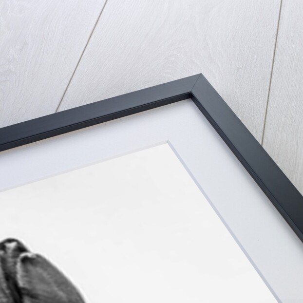 Amid the Flowers 63, 2021 by Teis Albers