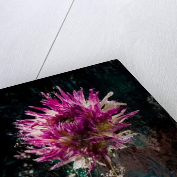 Sugarplum, 2018 by Teis Albers