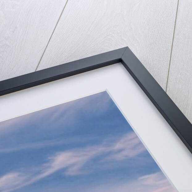 Squam Light Evening, 2014 by David Arsenault