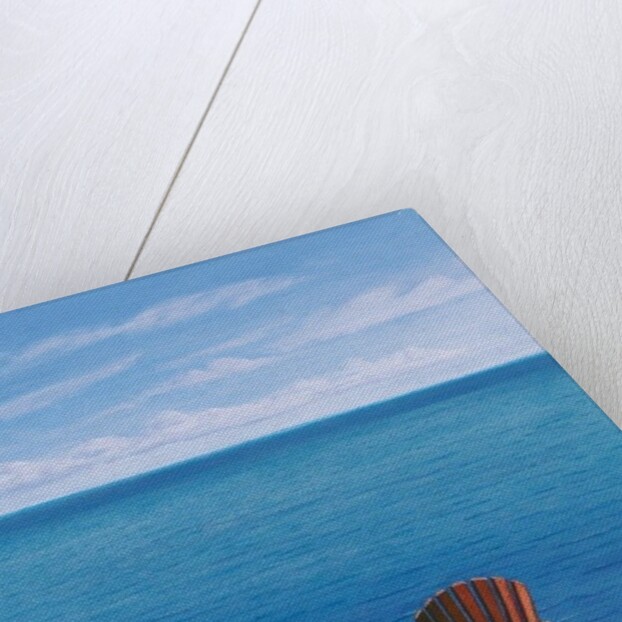 Solitary Refinement, 2014 by David Arsenault