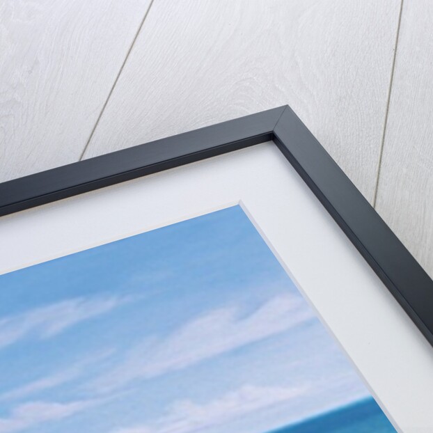 Solitary Refinement, 2014 by David Arsenault