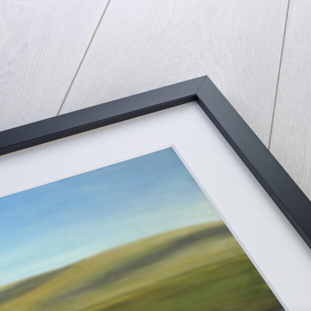 Housesitting by David Arsenault