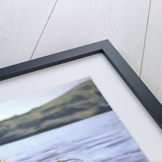 A Day at the Lake, 1996 by David Arsenault