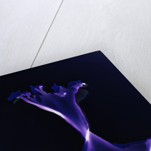 Untitled, 2004, by Richard Green