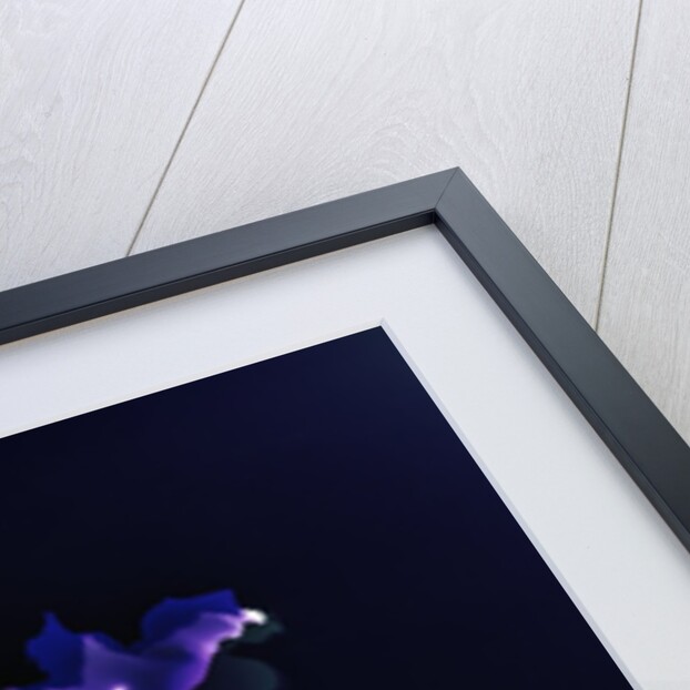 Untitled, 2004, by Richard Green