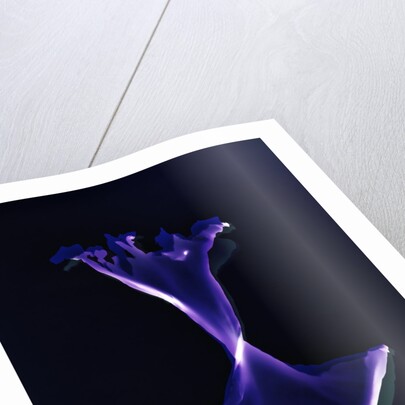 Untitled, 2004, by Richard Green