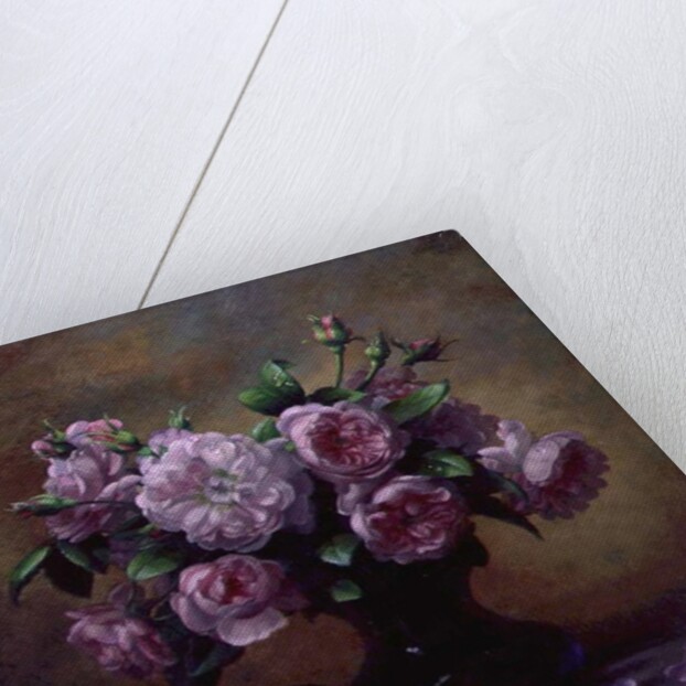 Roses of Sweet Scent and Velvet Touch by Albert Williams