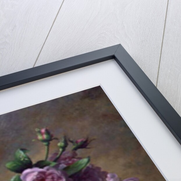 Roses of Sweet Scent and Velvet Touch by Albert Williams