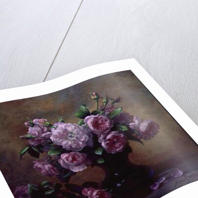 Roses of Sweet Scent and Velvet Touch by Albert Williams