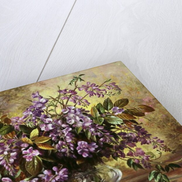 Enchanting Junetide Wisteria by Albert Williams