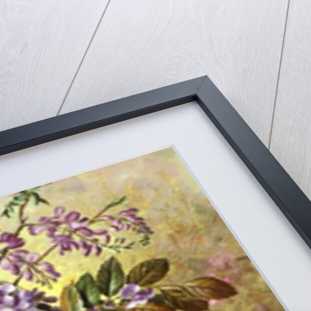 Enchanting Junetide Wisteria by Albert Williams