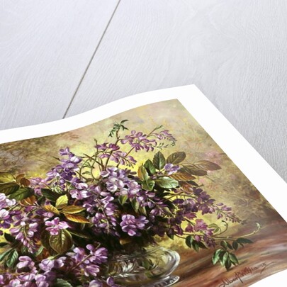 Enchanting Junetide Wisteria by Albert Williams