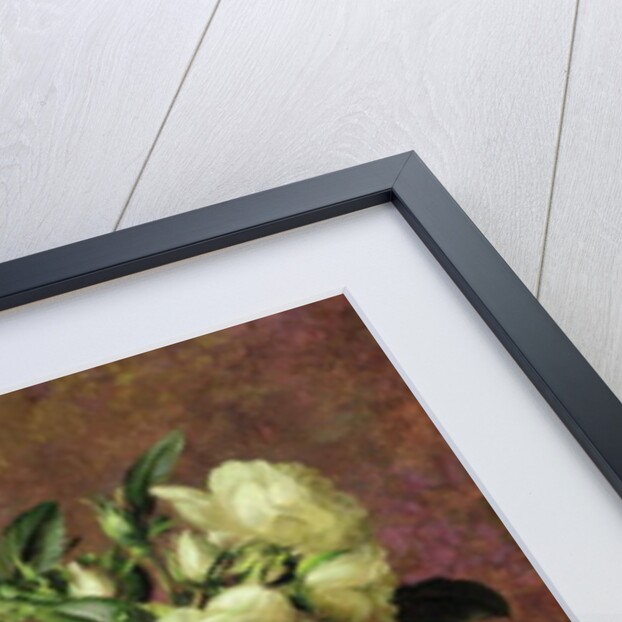 White Roses, A Gift from the Heart by Albert Williams