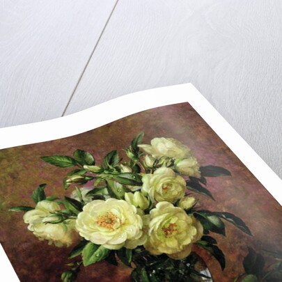 White Roses, A Gift from the Heart by Albert Williams