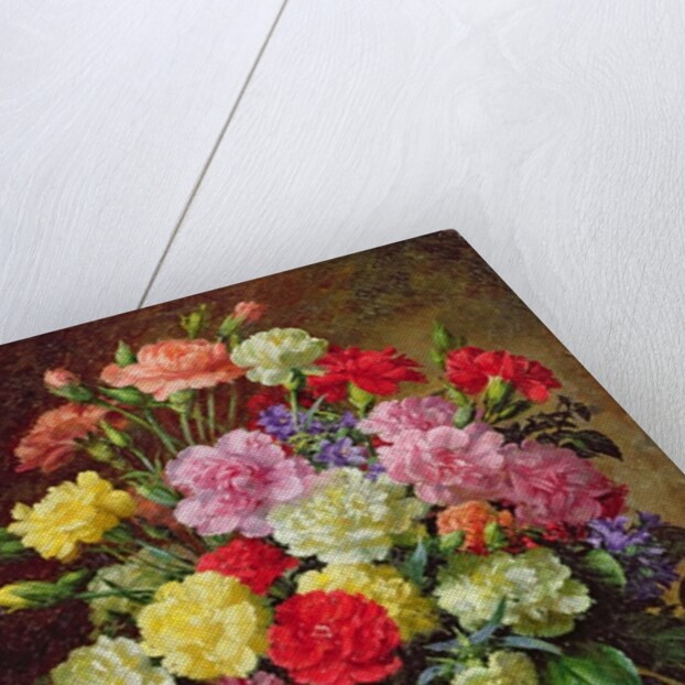 Carnations of Radiant Colours by Albert Williams