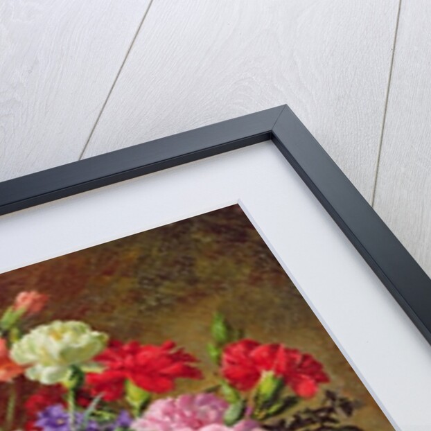 Carnations of Radiant Colours by Albert Williams