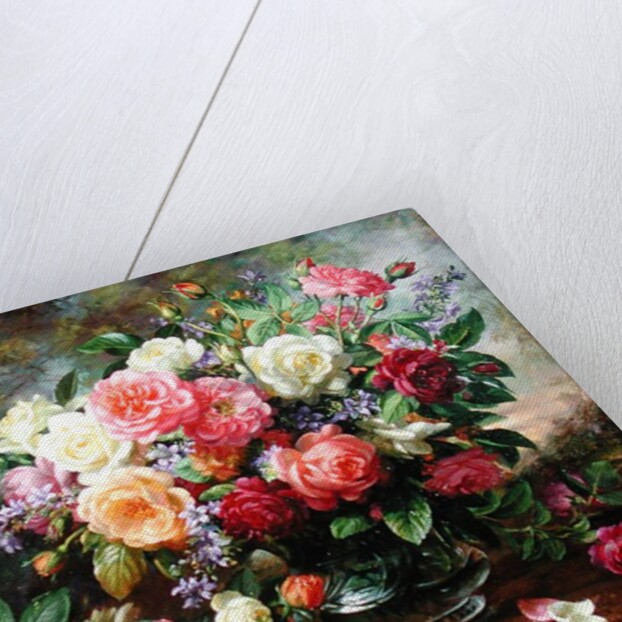 Roses - The Perfection of Summer by Albert Williams