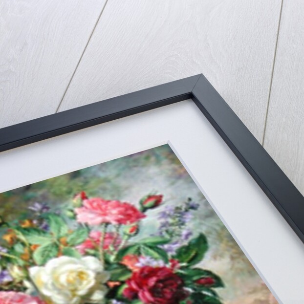 Roses - The Perfection of Summer by Albert Williams