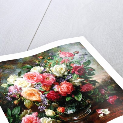 Roses - The Perfection of Summer by Albert Williams