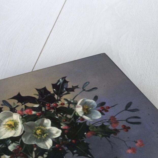 AB/89 Christmas roses by Albert Williams