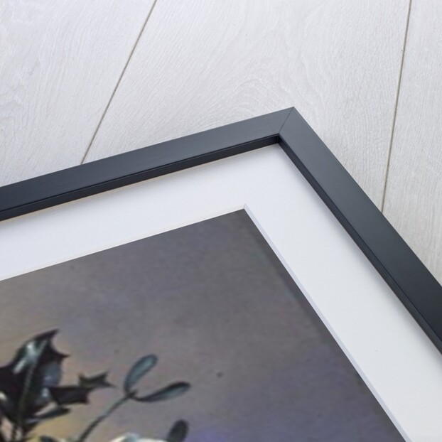 AB/89 Christmas roses by Albert Williams