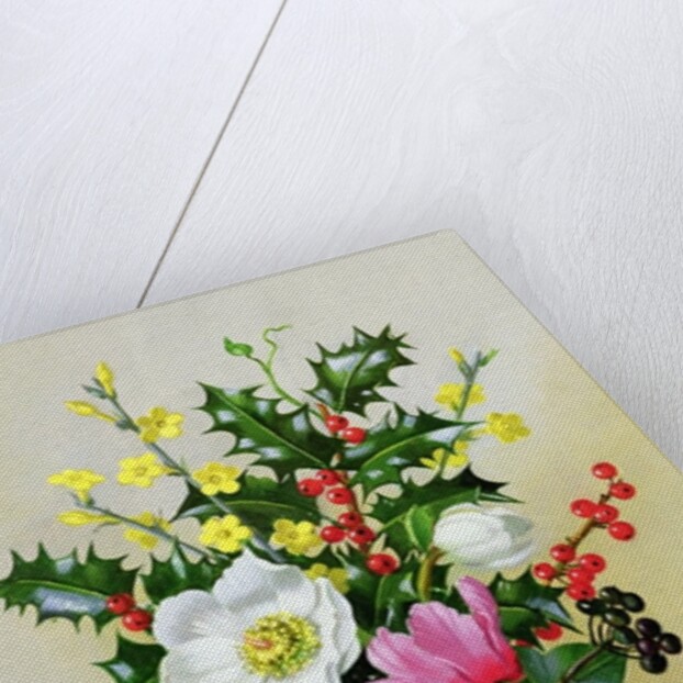 Spray of Dogrose, Holly, Mistletoe and Larkspur by Albert Williams