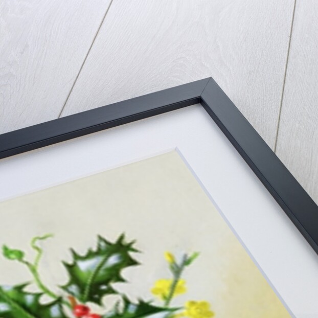 Spray of Dogrose, Holly, Mistletoe and Larkspur by Albert Williams