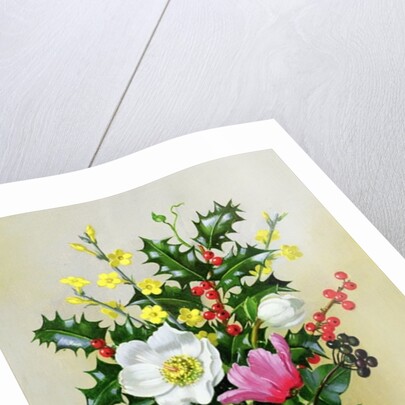 Spray of Dogrose, Holly, Mistletoe and Larkspur by Albert Williams