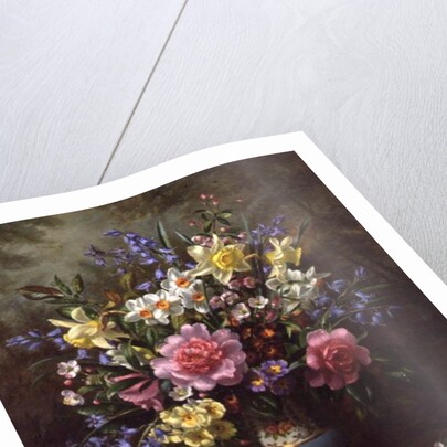 AB/200/2 Bluebells, daffodils, primroses and peonies in a blue vase by Albert Williams