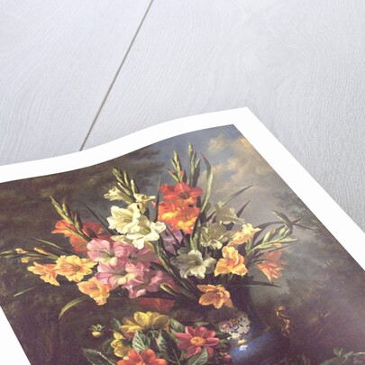 AB/106/2/B Gladioli and Dahlias by Albert Williams