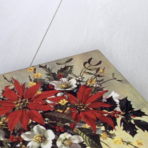 PB/274 Christmas Flowers by Albert Williams