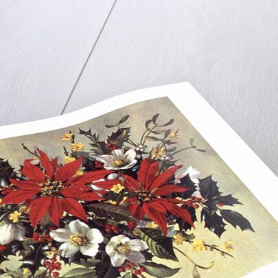 PB/274 Christmas Flowers by Albert Williams
