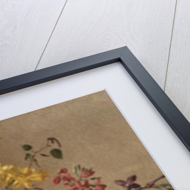 AW/243 Freesias and Primroses by Albert Williams